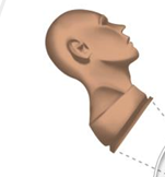 Modular skills trainer old style foam head