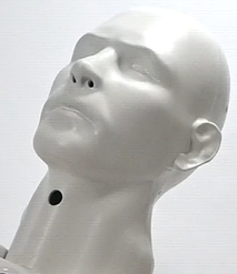 Plastic head for modular skills trainer