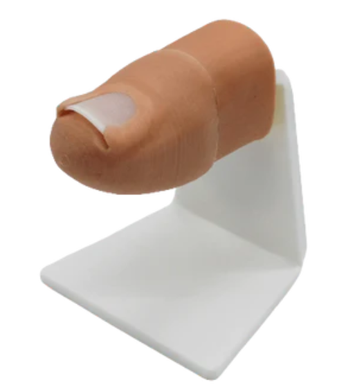 MSN 588--Simulated Toenail Model-single use