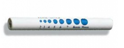 BSN 206-Penlight W/Pupil Gauge