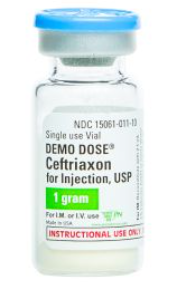 BSN 266-Simulated Powder Antibiotic